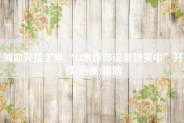 辅助开挂工具“13水作弊设备现实中”开挂(透视)辅助