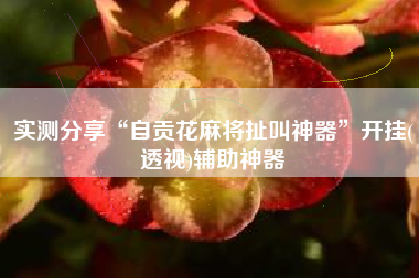 实测分享“自贡花麻将扯叫神器”开挂(透视)辅助神器