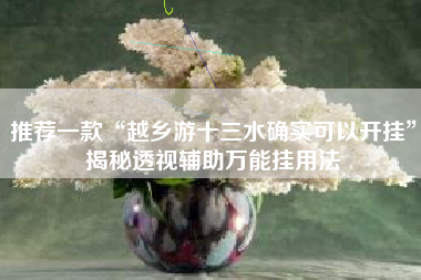 推荐一款“越乡游十三水确实可以开挂”揭秘透视辅助万能挂用法