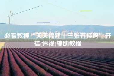 必看教程“天天福建十三张有挂吗”开挂(透视)辅助教程