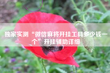 独家实测“微信麻将开挂工具多少钱一个”开挂辅助详细