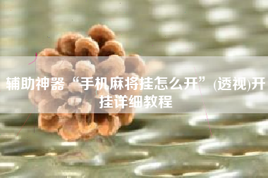 辅助神器“手机麻将挂怎么开”(透视)开挂详细教程