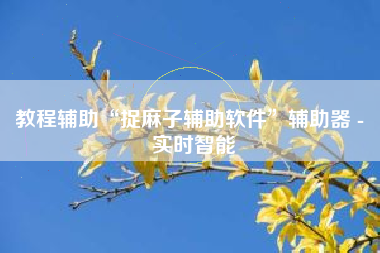 教程辅助“捉麻子辅助软件”辅助器 - 实时智能 教程辅助“捉麻子辅助软件”辅助器 - 实时智能