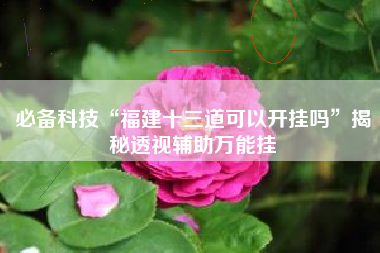 必备科技“福建十三道可以开挂吗”揭秘透视辅助万能挂