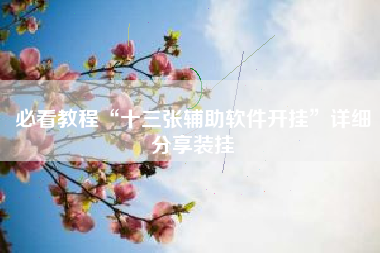 必看教程“十三张辅助软件开挂”详细分享装挂 必看教程“十三张辅助软件开挂”详细分享装挂