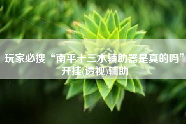 玩家必搜“南平十三水辅助器是真的吗”开挂(透视)辅助