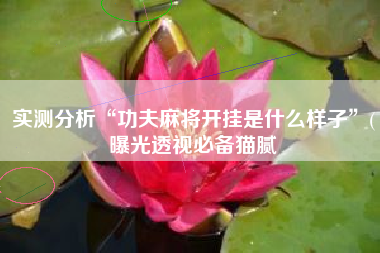 实测分析“功夫麻将开挂是什么样子”(曝光透视必备猫腻