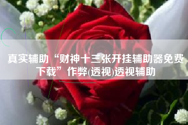 真实辅助“财神十三张开挂辅助器免费下载”作弊(透视)透视辅助