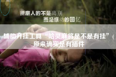 辅助开挂工具“哈灵麻将是不是有挂”(原来确实是有插件