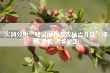 实测分析“哈灵麻将游戏是否开挂”作弊(透视)透视辅助