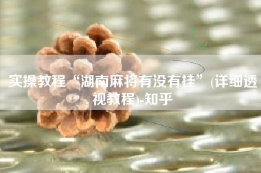 实操教程“湖南麻将有没有挂”(详细透视教程)-知乎 实操教程“湖南麻将有没有挂”(详细透视教程)-知乎