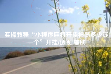 实操教程“小程序麻将开挂神器多少钱一个”开挂(透视)辅助