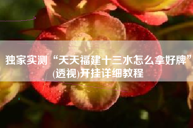 独家实测“天天福建十三水怎么拿好牌”(透视)开挂详细教程