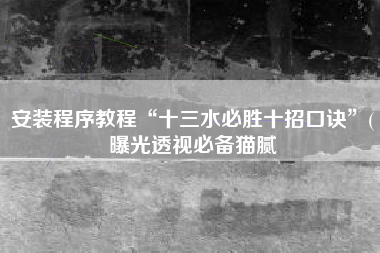 安装程序教程“十三水必胜十招口诀”(曝光透视必备猫腻