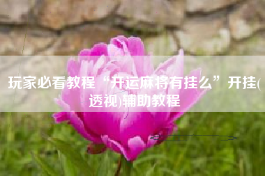 玩家必看教程“开运麻将有挂么”开挂(透视)辅助教程