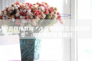 安装程序教程“小程序麻将怎么提高胜率”(原来确实是有插件