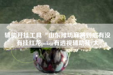 辅助开挂工具“山东潍坊麻将到底有没有挂红龙poker有透视辅助挂(太