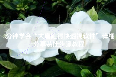 3分钟学会“大唐跑得快透视软件”详细分享装挂步骤教程