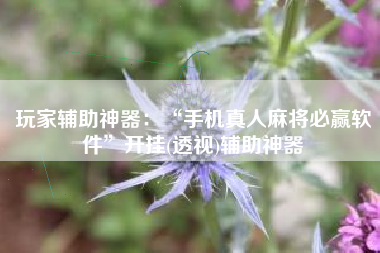 玩家辅助神器：“手机真人麻将必赢软件”开挂(透视)辅助神器