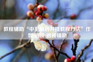 教程辅助“中至麻将开挂教程方法”作弊(透视)透视辅助