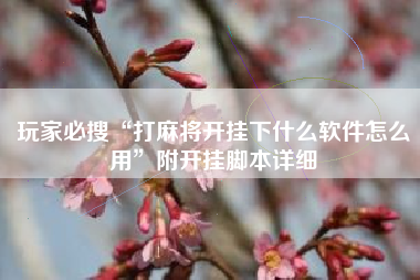 玩家必搜“打麻将开挂下什么软件怎么用”附开挂脚本详细