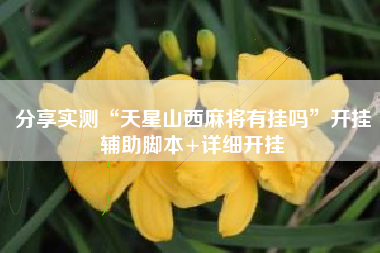 分享实测“天星山西麻将有挂吗”开挂辅助脚本+详细开挂