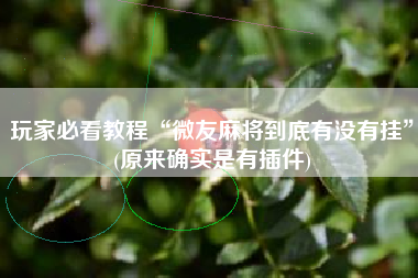 玩家必看教程“微友麻将到底有没有挂”(原来确实是有插件) 玩家必看教程“微友麻将到底有没有挂”(原来确实是有插件)