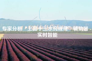 专家分析“上品十三水窍规律”辅助器 - 实时智能