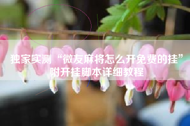 独家实测“微友麻将怎么开免费的挂”附开挂脚本详细教程