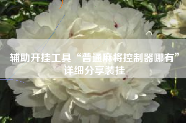 辅助开挂工具“普通麻将控制器哪有”详细分享装挂