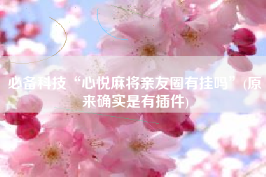 必备科技“心悦麻将亲友圈有挂吗”(原来确实是有插件)