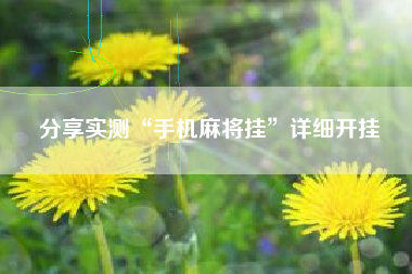 分享实测“手机麻将挂”详细开挂 分享实测“手机麻将挂”详细开挂