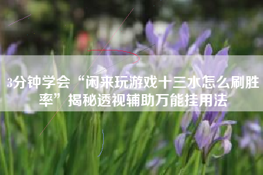 3分钟学会“闲来玩游戏十三水怎么刷胜率”揭秘透视辅助万能挂用法
