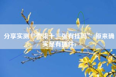 分享实测“壹柒十三张有挂吗”(原来确实是有插件) 分享实测“壹柒十三张有挂吗”(原来确实是有插件)