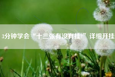 3分钟学会“十三张有没有挂?”详细开挂