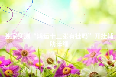 独家实测“鸿运十三张有挂吗”开挂辅助详细