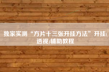 独家实测“方片十三张开挂方法”开挂(透视)辅助教程