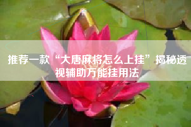 推荐一款“大唐麻将怎么上挂”揭秘透视辅助万能挂用法