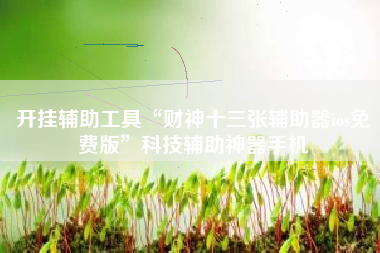 开挂辅助工具“财神十三张辅助器ios免费版”科技辅助神器手机