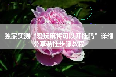 独家实测“爱玩麻将可以开挂吗”详细分享装挂步骤教程 独家实测“爱玩麻将可以开挂吗”详细分享装挂步骤教程