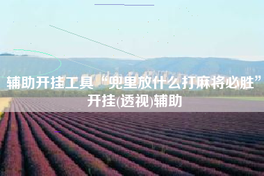 辅助开挂工具“兜里放什么打麻将必胜”开挂(透视)辅助