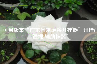 可用版本“广东闲来麻将开挂器”开挂(透视)辅助神器