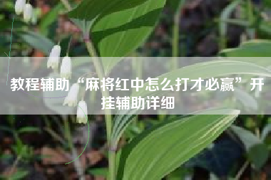 教程辅助“麻将红中怎么打才必赢”开挂辅助详细