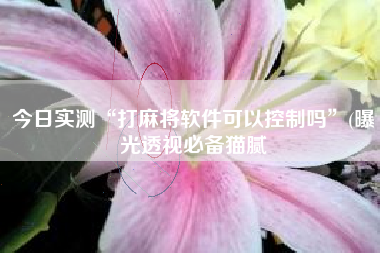 今日实测“打麻将软件可以控制吗”(曝光透视必备猫腻 今日实测“打麻将软件可以控制吗”(曝光透视必备猫腻