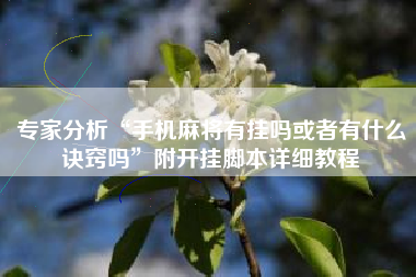 专家分析“手机麻将有挂吗或者有什么诀窍吗”附开挂脚本详细教程 专家分析“手机麻将有挂吗或者有什么诀窍吗”附开挂脚本详细教程