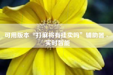 可用版本“打麻将有挂卖吗”辅助器 - 实时智能