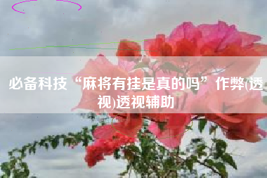 必备科技“麻将有挂是真的吗”作弊(透视)透视辅助