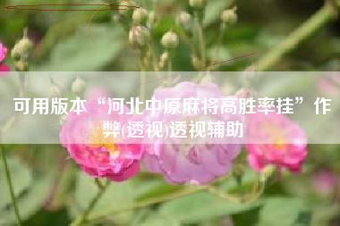 可用版本“河北中原麻将高胜率挂”作弊(透视)透视辅助