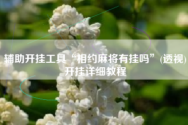 辅助开挂工具“相约麻将有挂吗”(透视)开挂详细教程 辅助开挂工具“相约麻将有挂吗”(透视)开挂详细教程