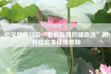 必学教你安装“老板互娱的辅助器”附开挂脚本详细教程 必学教你安装“老板互娱的辅助器”附开挂脚本详细教程